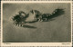 Foto  Tiere - Skorpion 1934 Privatfoto  - Other & Unclassified