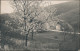 Ansichtskarte  Stimmungsbild Frühling Dorf Haus (Ort Unbekannt) 1921 - A Identifier