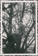 Foto  Mann Mit Trenchcoat Auf Baum 1940 Privatfoto - Personaggi