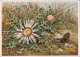 Ansichtskarte  Künstlerkarte Blumenwiese Schmetterling 1928 - Paintings