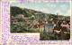 Ansichtskarte Loschwitz-Dresden Blick Vom Burgberg 1901 - Dresden