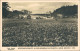 Polenz-Neustadt (Sachsen) Märzenbecherblüte An Der Bockmühle Im Polenztal 1955 - Neustadt