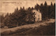 Ansichtskarte Zwiesel Hintersteinhütte 1911 - Zwiesel