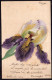 Argentina - 1906 - Flowers - Violet Orchid Painting - Fleurs