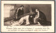 Bidprentje Halewijn - Boudewyn Irma (1889-1941) - Images Religieuses