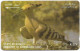 Kuwait - (GPT) - Hoopoe Bird - 39KWTK (Dashed Ø), 1997, Used - Koweït