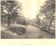 BRAINE-LE-COMTE - Ecole Des Soeurs Notre-Dame - Une Allée Du Jardin - Ancienne Photo Imprimée Sur Papier - Non Classés
