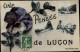 France 1916 Postcard Luçon Vendée, Une Pensee, Cityscapes, Pansies, Flowers, VF Posted - Lucon