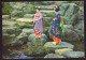 AK 212413 JAPAN - Maiko Or Dancing Girls - Other & Unclassified