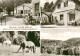 73758948 Ruhla Gasthaus Zur Schoenen Aussicht Panorama Pferd Und Esel Ruhla - Autres & Non Classés