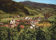 72493568 Glottertal Panorama Schwarzwald Weinreben Glottertal - Glottertal