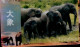 TELECARTE ETRANGERE....ELEPHANTS - Andere & Zonder Classificatie