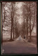 Fotografie Brück & Sohn Meissen, Ansicht Wechselburg / Mulde, Blick In Die Allee Unter Den Linden  - Lugares