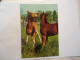 GERMANY  POSTCARDS ANIMALS HORSHES - Chevaux