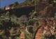 72488901 Madeira Garten In Monte Madeira  - Autres & Non Classés