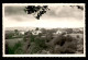 71 - LIGNY-EN-BRIONNAIS - VUE GENERALE - Autres & Non Classés