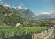 FURSTENTUM . LIECHTENSTEIN .  - Liechtenstein