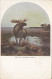 Moose Elch Old Postcard Signed Carl Von Dombrowski , Jagerhorn Postkarte Series - Chasse