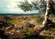 77 - Fontainebleau - Forêt De Fontainebleau - Désert D'Apremont - CPM - Voir Scans Recto-Verso - Fontainebleau