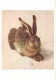 Animaux - Lièvres - Peinture De Albrecht Duret - CPM - Voir Scans Recto-Verso - Autres & Non Classés