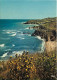 66 - Argelès Sur Mer - Les Rochers Du Racou - CPM - Voir Scans Recto-Verso - Argeles Sur Mer