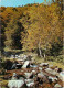 24 - Dordogne - Paysage En Périgord - CPM - Voir Scans Recto-Verso - Autres & Non Classés