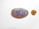 Superbe Pin's En EGF , Logo Auto FIAT , Doré , Signé Badges Impact - Fiat