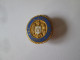 Rare! Roumanie Insigne Ass.d'Avocats Et Magistrats Vers 1930/Romania Ass.of Lawyers & Magistrates 1930s Badge,dim:18 Mm - Autres & Non Classés