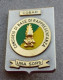 Distintivo COBAR Consiglio Rappresentanza  - Guardia Di Finanza - Dismesso - Anni 80/90 - Used Obsolete (286) Difettosa - Police & Gendarmerie
