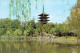 JAPON - Five Storied Pagoda Of Kofukuji Temple Seen From Sarusawa Pond - Colorisé - Carte Postale - Autres & Non Classés