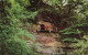 ROYAUME UNI - Ecosse - Famous Ancient Monument King Robert The Bruce's Cave - Carte Postale - Andere & Zonder Classificatie