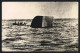 AK Torpedoboot V100 Von Russischem Zerstörer Torpediert  - Guerre