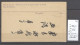 Chine - Postcard - Usage Local - Shanghai - 1903 - Cachet Bleu - Briefe U. Dokumente