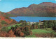 ROYAUME UNI - Ecosse - Loch Lomond And Ben Lomond From Inverbeg - Carte Postale - Argyllshire