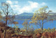 ROYAUME UNI - Ecosse - Inverness Shire - Loch Ness From Inverfarigaig - Carte Postale - Inverness-shire