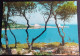 LOTTO 2 CARTOLINE ITALIA FOGGIA GARGANO VIESTE Italy Postcards Set ITALIEN Ansichtskarten - Foggia