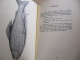 REPERTOIRE DES MOUCHES ARTIFICIELLES FRANCAISES - JEAN PAUL PEQUEGNOT - Sur Vergé Chamois Conquéror N° 463 - Chasse/Pêche