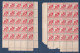 Tunisie - YT N° 244 ** - Neuf Sans Charnière - Légère Rouille - 1943 - Unused Stamps