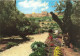 ISRAEL - Jerusalem - View From Garden Of Gethsemane To Golden Gate - Colorisé - Carte Postale - Israel