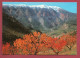 Le Massif Du Mont Ventoux - Le Village Pittoresque De Brantes - Andere & Zonder Classificatie