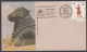 Inde India 1977 Special Cover Stamp Exhibition, Hoysala Emblem, Sculpture, Nandi Bull, Archaeology, Pictorial Postmark - Covers & Documents