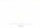 Animaux - Art Peinture Illustration - Aquarelle De Marcus Pfister - Pit Le Pingouin Et Ses Amis - CPM - Voir Scans Recto - Andere & Zonder Classificatie