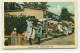 Antilles - TRINIDAD - Roadside Market - Trinidad