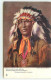 Indien -  The Song Of Hiawatha - Longfellow - On His Head His Eagle Feathers... - Indianer