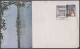 Inde India 1981 Special Cover Gujpex Stamp Exhibition, Kankaria Lake, Adalaj Stepwell, Pictorial Postmark - Covers & Documents