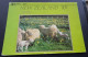 New Zealand 70c - Spring - A Wairarapa Farm, Just After Lambing, Reclame Internationale Konferentie Landbouwjournalisten - Werbepostkarten