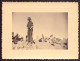 Photo ( 11 X 8 Cm ) " Soldat Au Milieu Des Cactus " Tunisie - Guerra, Militares