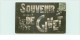 08 . N° 43054 . Givet Souvenir - Givet