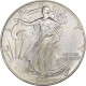 États-Unis, 1 Dollar, 1 Oz, Silver Eagle, 1995, Philadelphie, Argent, SPL+ - Argent