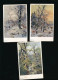 CPSM Art Peinture - Lot 3 Cartes Signées T. CUGGENBERGER , Paysages Arbres  Série 343 - Malerei & Gemälde